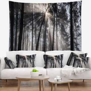Sunbeams through Black White Forest Forest Wall Tapestry, 80"x68"