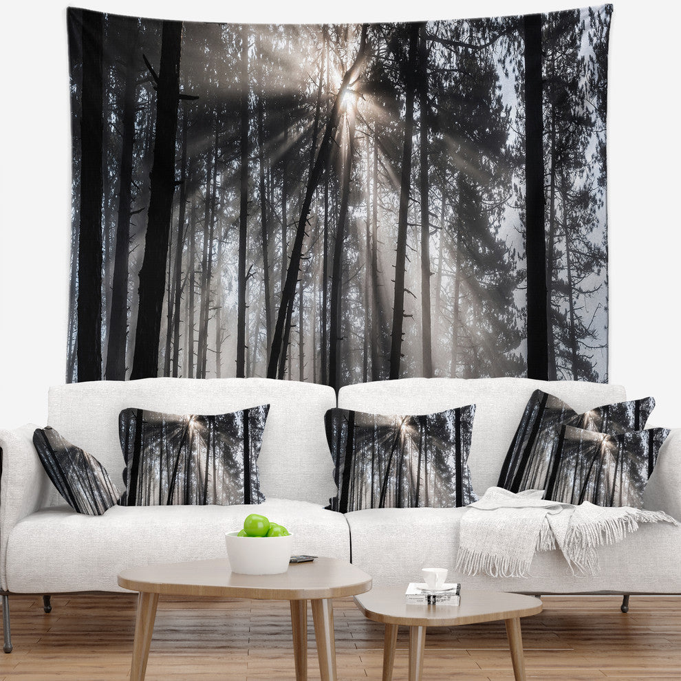 Sunbeams through Black White Forest Forest Wall Tapestry, 80"x68"