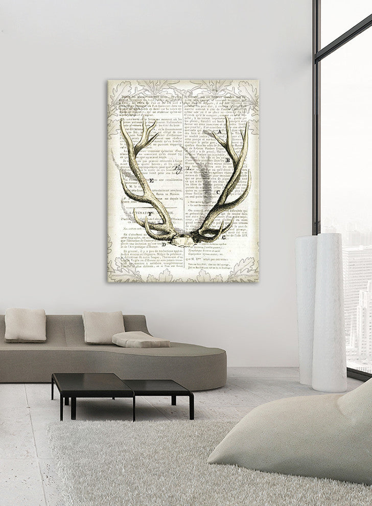 "Regal Antlers on Newsprint, I" Fine Art Canvas Print, 54"x72"