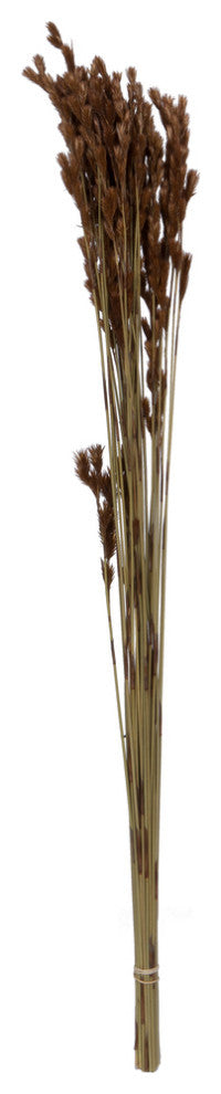 Full view of product on white background showing the complete stem arrangement