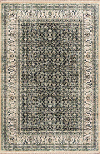 Brilliant Rug, 5'3"x7'7"