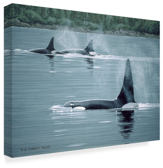 Ron Parker 'Orcas' Canvas Art, 32"x24"