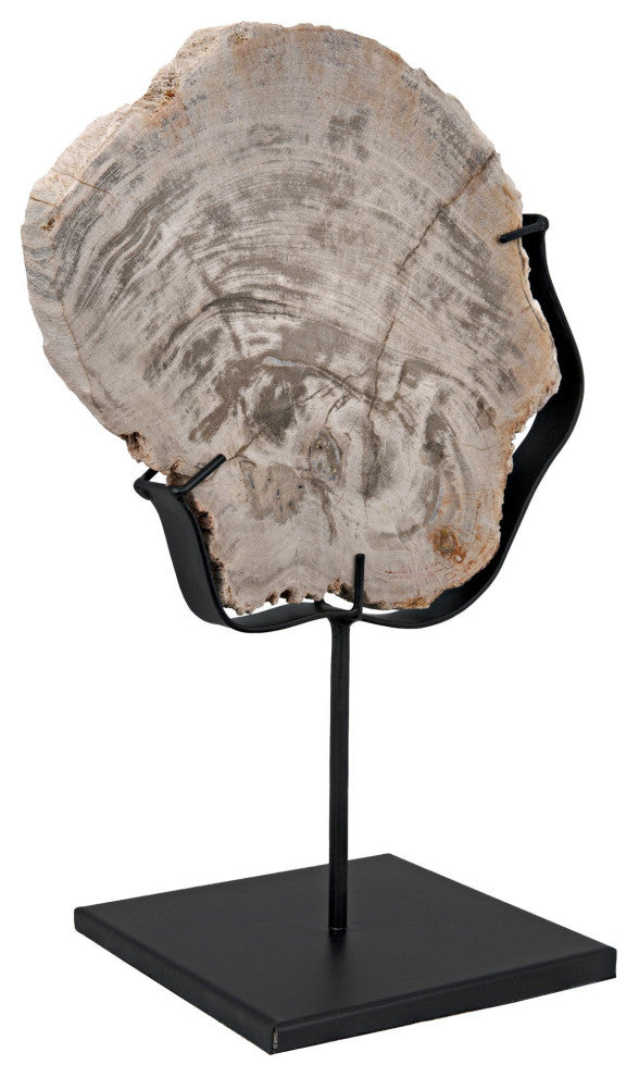 Wood Fossil with Stand, 8"