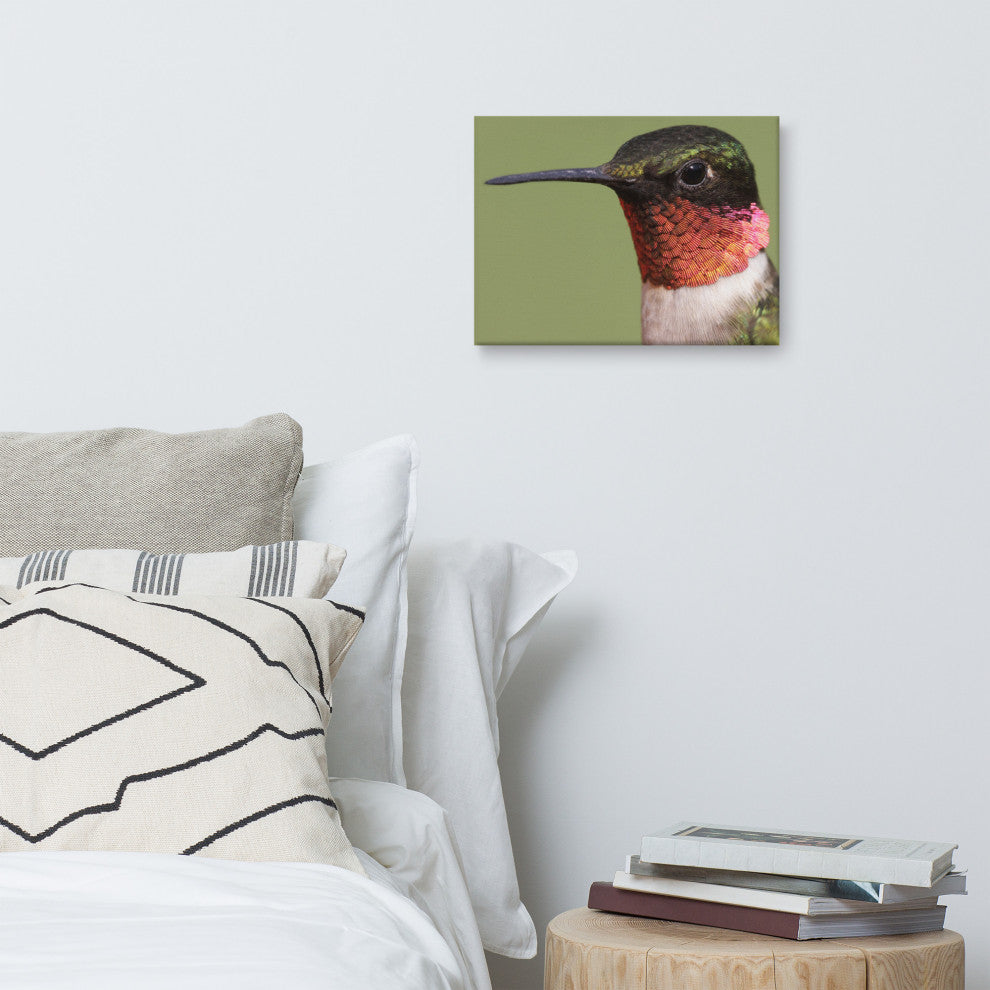 Close-up Ruby-throated Hummingbird Wildlife Photograph Canvas Wall Art Print, 12" X 16"