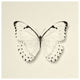 "Butterfly II - BW" Digital Paper Print by Debra Van Swearingen, 38"x38"