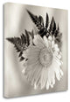 "Florison - 60" By Alan Blaustein, Giclee Print on Gallery Wrap Canvas