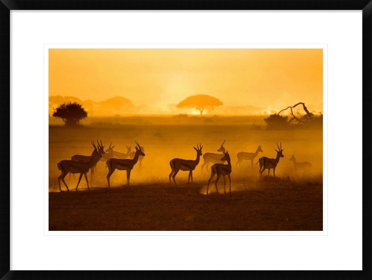 "Be Careful" Framed Digital Print by Mathilde Guillemot, 30x22"