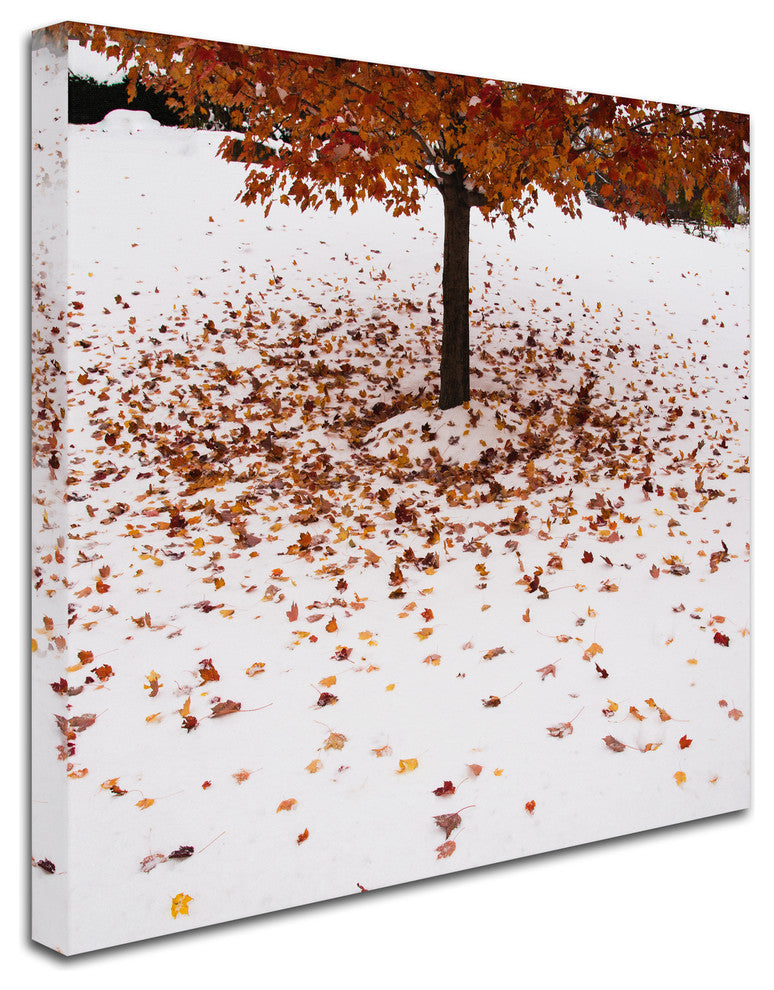 ''Maple Leaves in the Snow'' Canvas Art by Kurt Shaffer