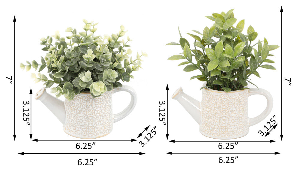 Eucalyptus & Tea Leaf In Cathedral Watering Canï¼ŒSet Of 2