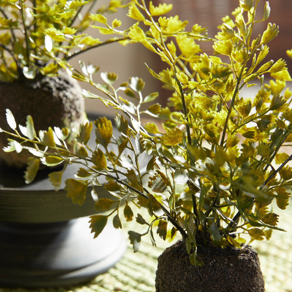 Maidenhair Drop-Ins, Set of 3