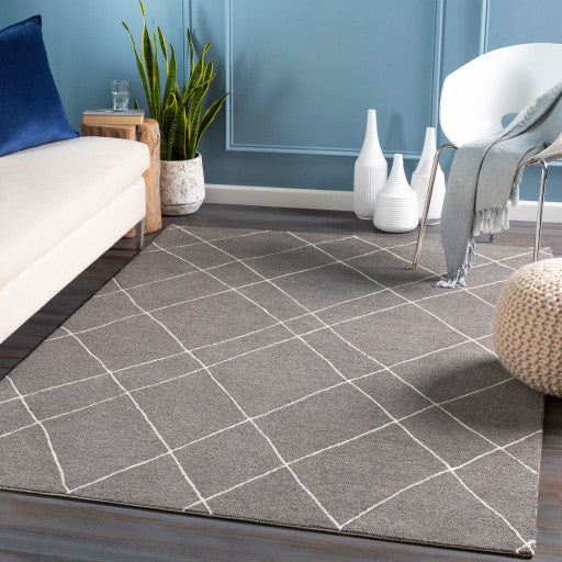 Surya Sinop SNP-2305 6'x9' Rug, Charcoal/Cream