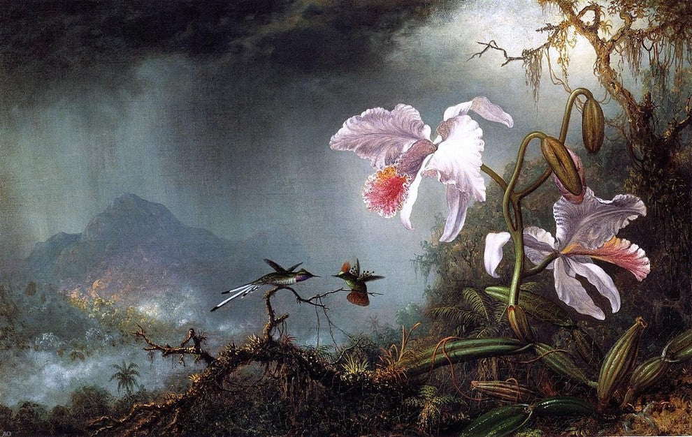 Martin Johnson Heade Two Fighting Hummingbirds With Two Orchids Wall Decal