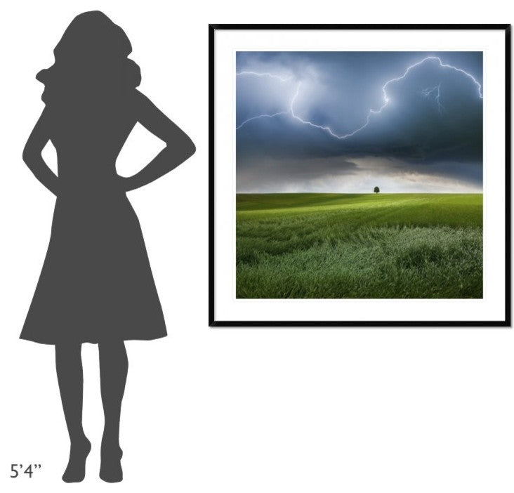 "Someplace In Summer" Framed Digital Print by Franz Schumacher, 44x44"
