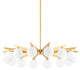 Astra 14 Light Chandelier Vintage Brass