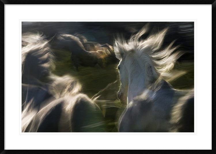 "Esata Equina" Framed Digital Print by Milan Malovrh, 38x27"