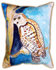 Pair of Betsy Drake Betsy"™s Owl Large Indoor/Outdoor Pillows 16 Inchx20 Inch