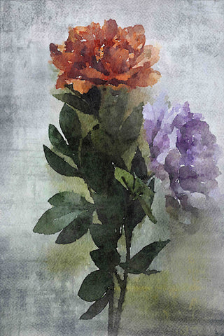 "Purple Haze" Print on Canvas by Irena Orlov