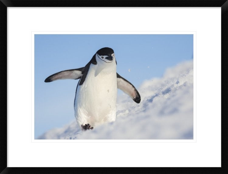 "Running Up That Hill" Framed Digital Print by Hillebrand Breuker, 26"x20"