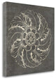 "Rosette IV Gray" By Wild Apple Portfolio, Giclee Print on Gallery Wrap Canvas