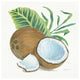 "Coconut Palm II" Digital Paper Print by Mary Urban, 26"x26"