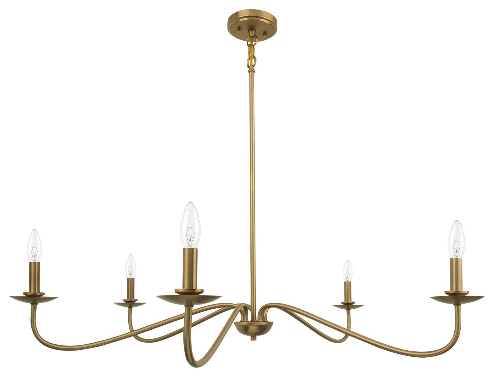 5-Light Elegant Traditional Chandelier