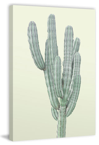 "Lone Cactus" Painting Print, Wrapped Canvas, 40"x60"
