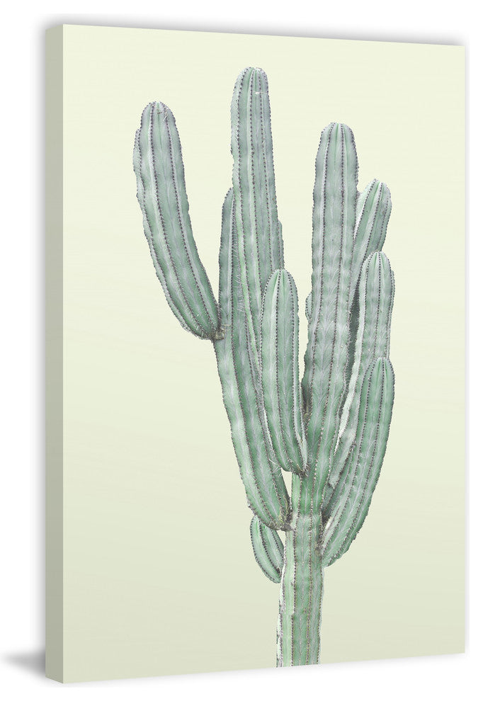 "Lone Cactus" Painting Print, Wrapped Canvas, 40"x60"