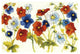 "Independent Blooms I" Digital Paper Print by Shirley Novak, 38"x26"