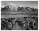"View across river valley, Grand Teton National Park, 1941" Paper Art, 24"x20"