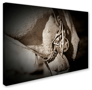 Dan Ballard 'Colorado' Canvas Art, 32"x24"