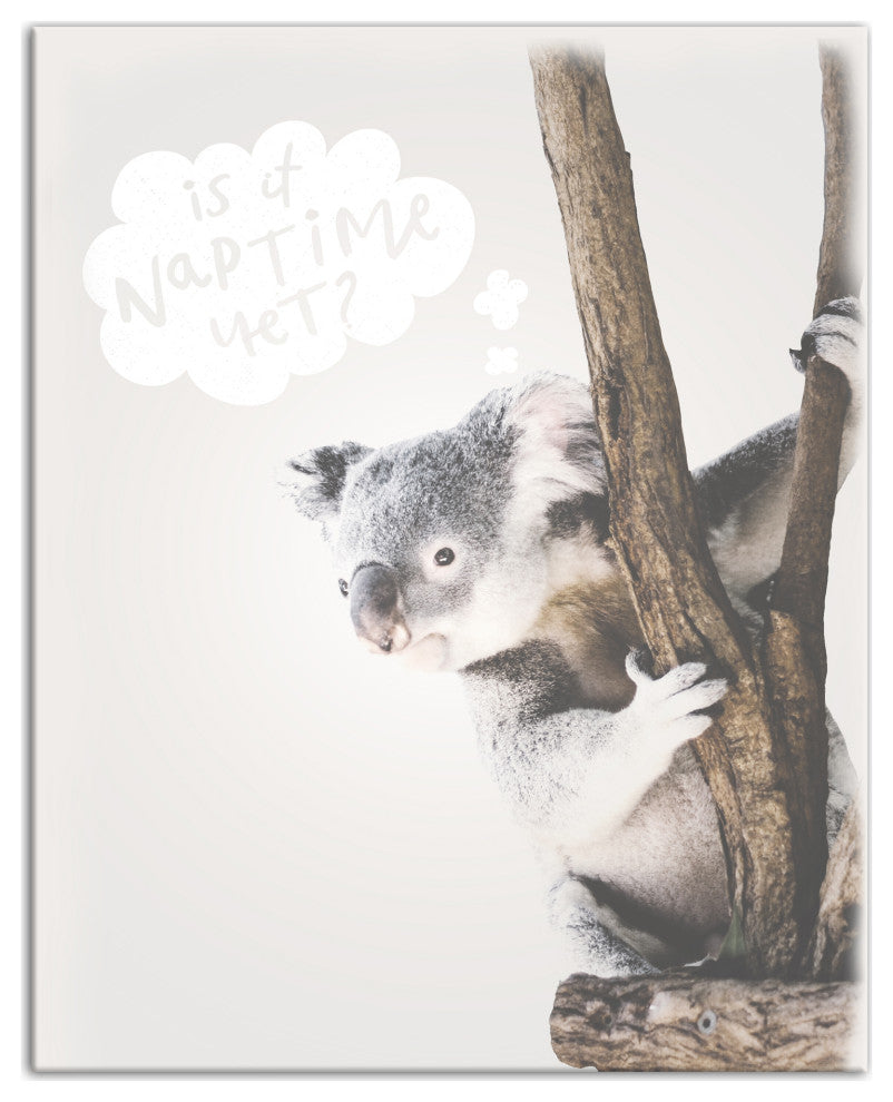 Baby Koala 16x20 Canvas Wall Art