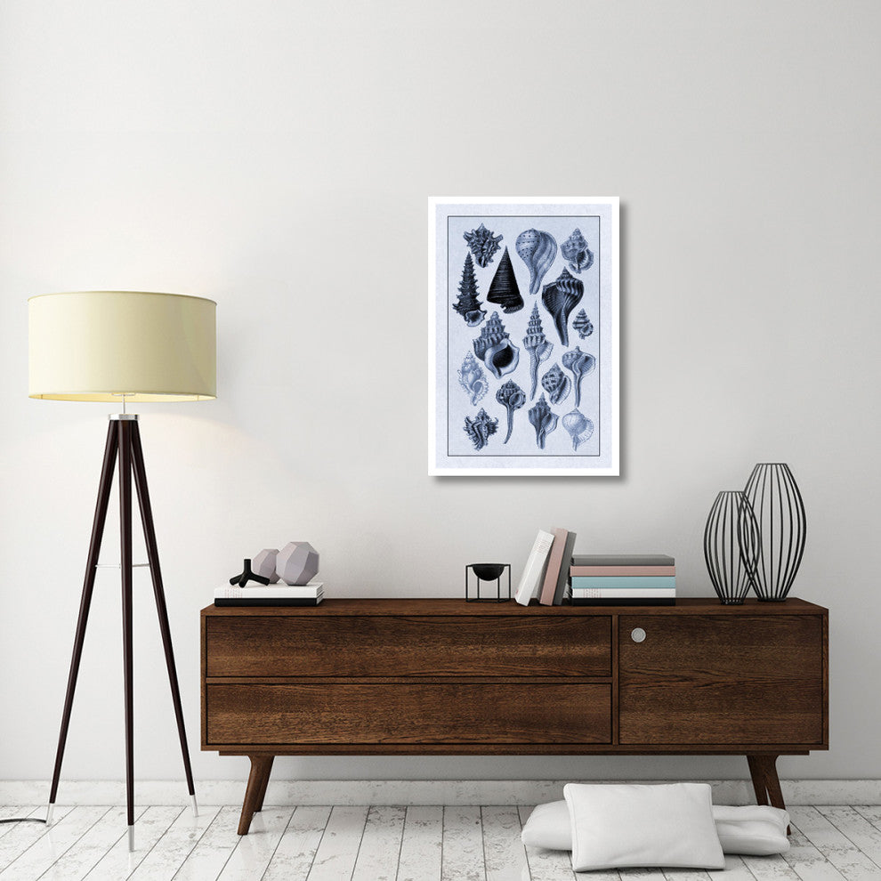 "Shells: Trachelipoda #4 (Blue)" Digital Paper Print by G.B. Sowerby, 26"x38"