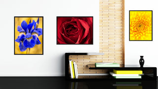 Red Rose Flower Print on Canvas with Picture Frame, 22"x29"