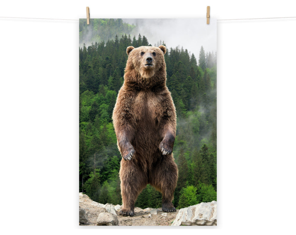Big Standing Brown Bear On Mountain Top Loose Wall Art Print, 12" X 16"