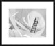 "Journey To The Light" Framed Digital Print by Jeroen Van De, 24x20"