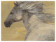"Into the Wind" Digital Paper Print by Albena Hristova, 42"x32"