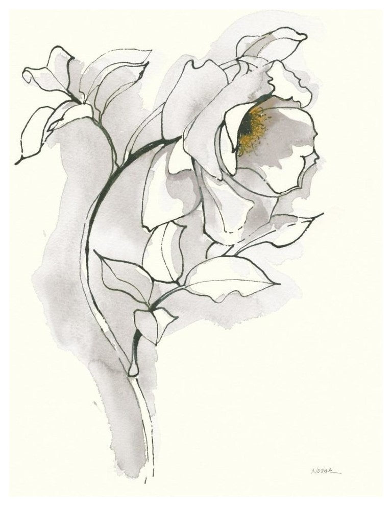 "Carols Roses III Soft Gray" Digital Paper Print by Shirley Novak, 30"x37"