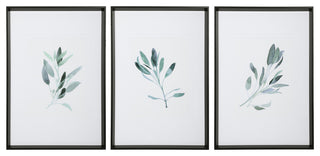 Sage Herb Watercolor Print Green White Wall Art Framed Farmhouse, 3-Piece Set