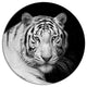 Staring Bengal White Tiger, Animal Art Round Wall Art, 36"