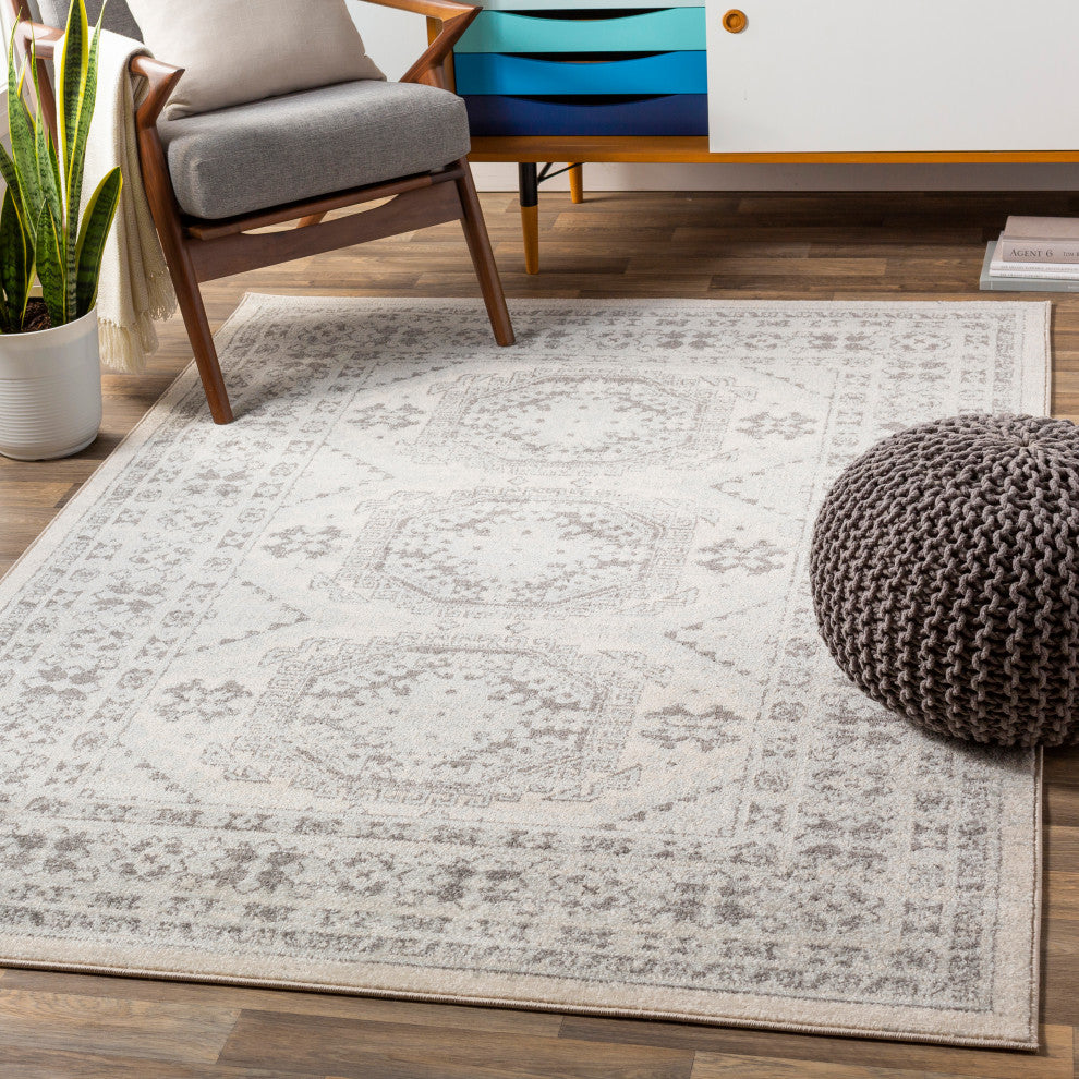 Surya Chester CHE-2309 Global Area Rug, 9' x 12' Rectangle