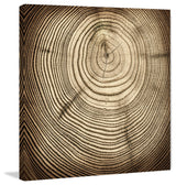 "Rings of Age" Painting Print on Canvas