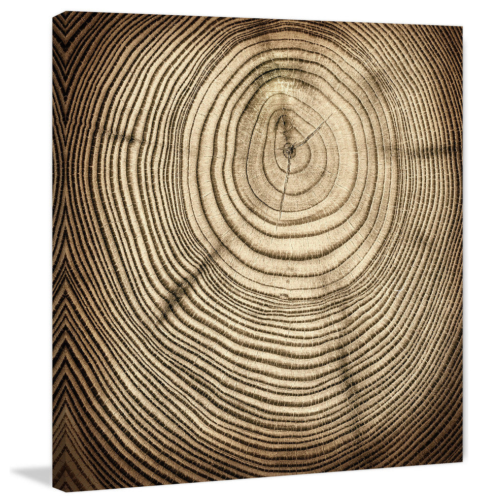 "Rings of Age" Painting Print on Canvas
