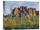 "Saguaro Cacti And Superstition Mounta, Arizona" Artwork