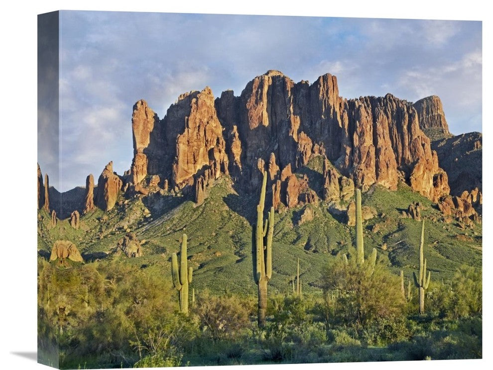 "Saguaro Cacti And Superstition Mounta, Arizona" Artwork