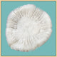 Coral On Aqua 4, Giclee Reproduction Artwork