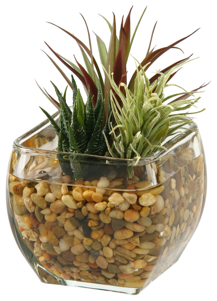 Aloe and Easter Grass in Glass Cube