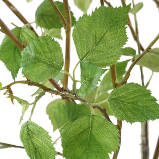 Uttermost Nigra Birch Vase Centerpiece