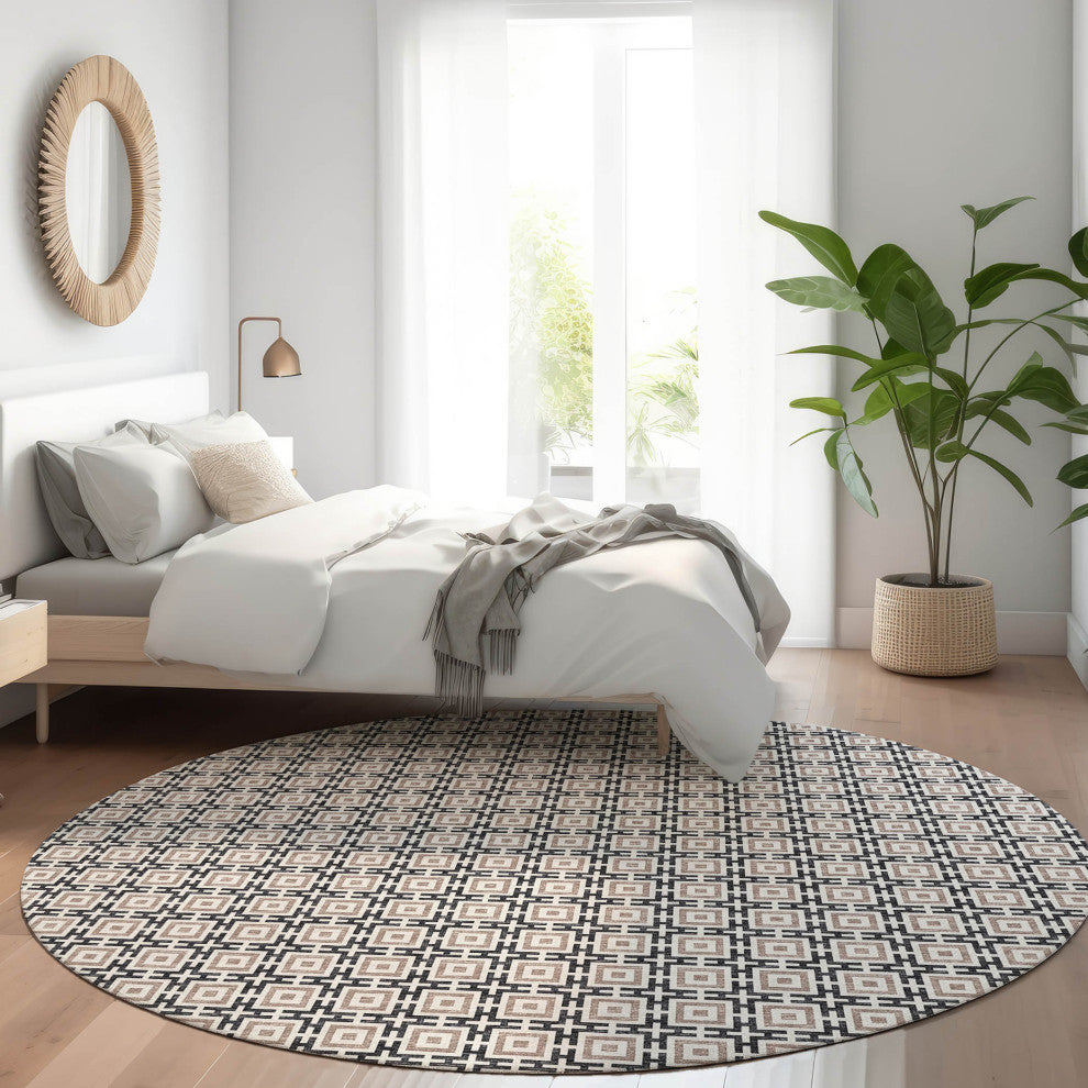 Indoor/Outdoor Marlo MO1 Black Machine Washable 8' x 8' Rug