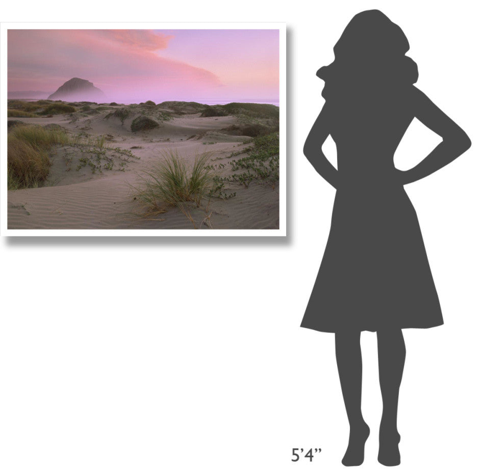 "Morro Rock at Morro Bay, California" Paper Print by Tim Fitzharris, 42"x32"