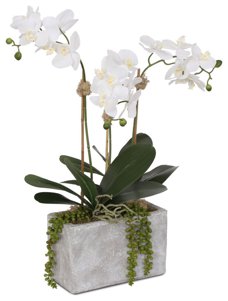Real Touch Phalaenopsis Orchid, Leaves with String of Pearls in Wash Stone Pot